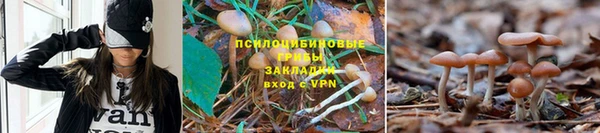 бошки Вяземский