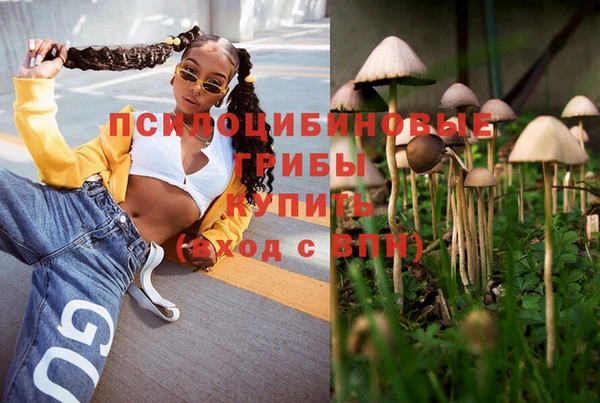 МДПВ Вязьма